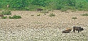 Li River11